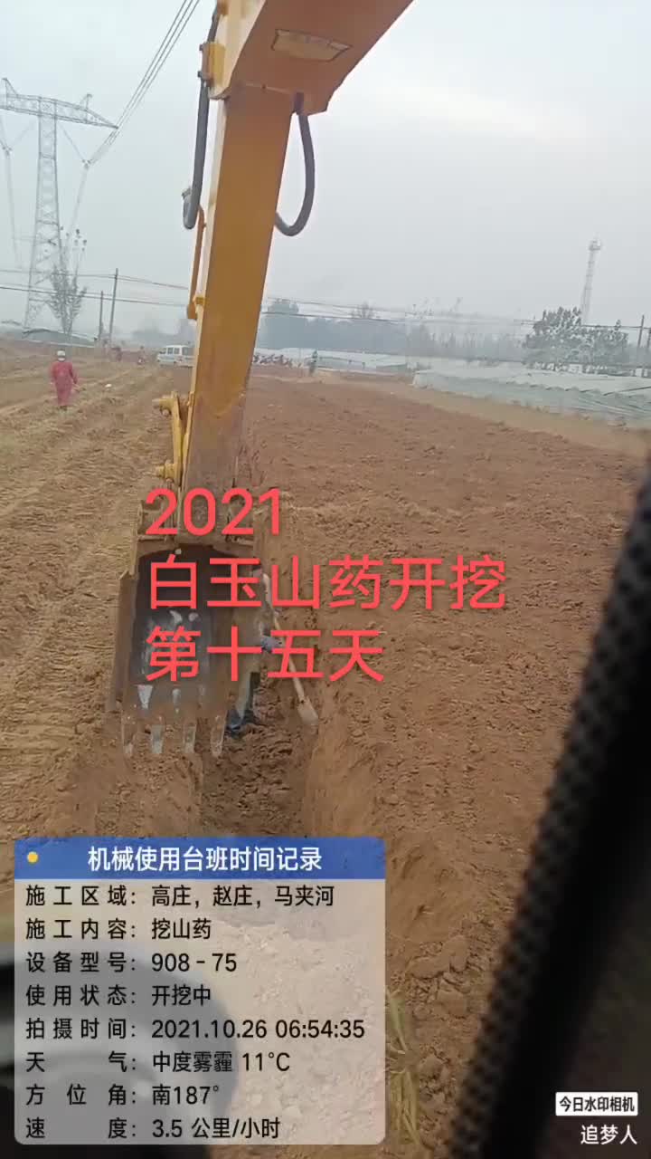 挖山药